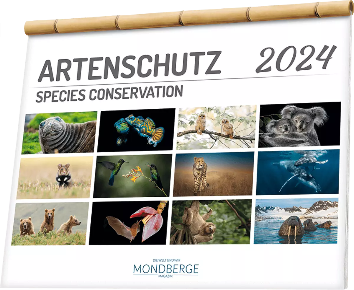 MONDBERGE präsentiert den Artenschutzkalender 2024