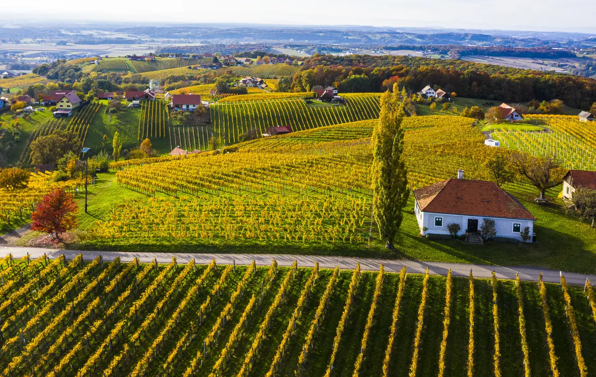 „Natur nachhaltig erfahren“ - das Special im MONDBERGE-Heft