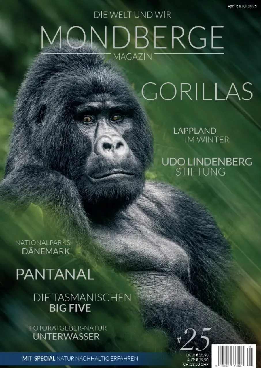 Das MONDBERGE-Magazin feiert Jubiläum