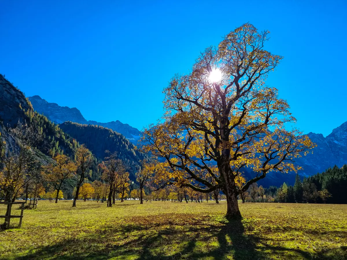 Farbenfroher Herbst im Naturpark Karwendel