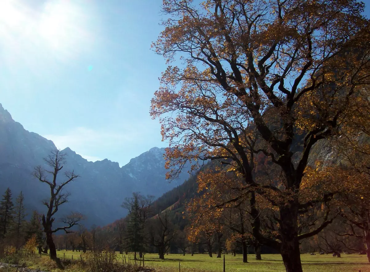 Farbenfroher Herbst im Naturpark Karwendel
