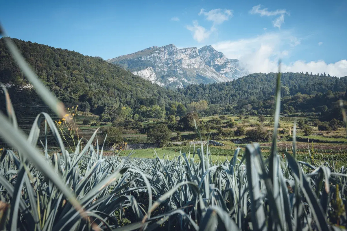Val di Gresta – das verborgene, grüne Gartenparadies