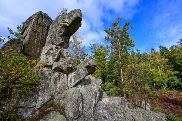 Natur pur – Steinwald Teil 1