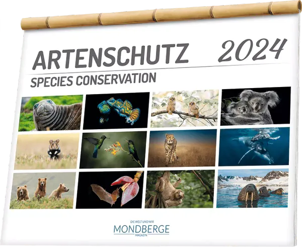 MONDBERGE präsentiert den Artenschutzkalender 2024