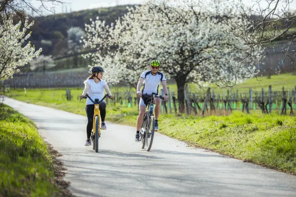 Kirschblütenradweg – Rad-Frühling wie aus dem Bilderbuch
