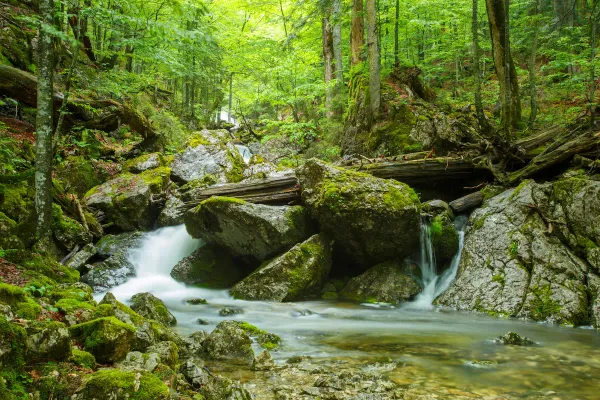 Wildnisgebiet Dürrenstein-Lassingtal – Der letzte Urwald der Alpen