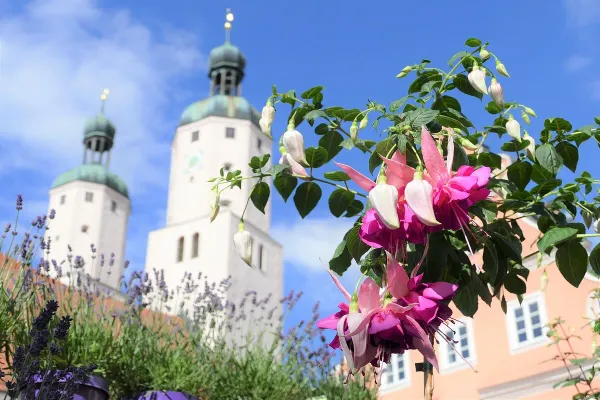 Der Fuchsien- und Kräutermarkt in Wemding