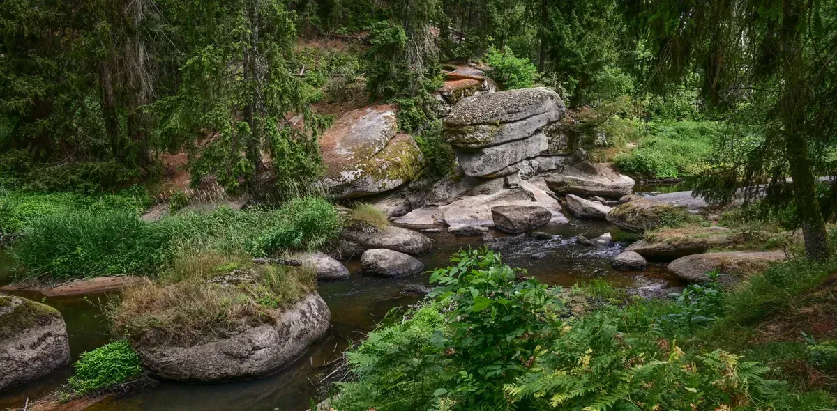 Along the wonderful bank of the Waldnaab.